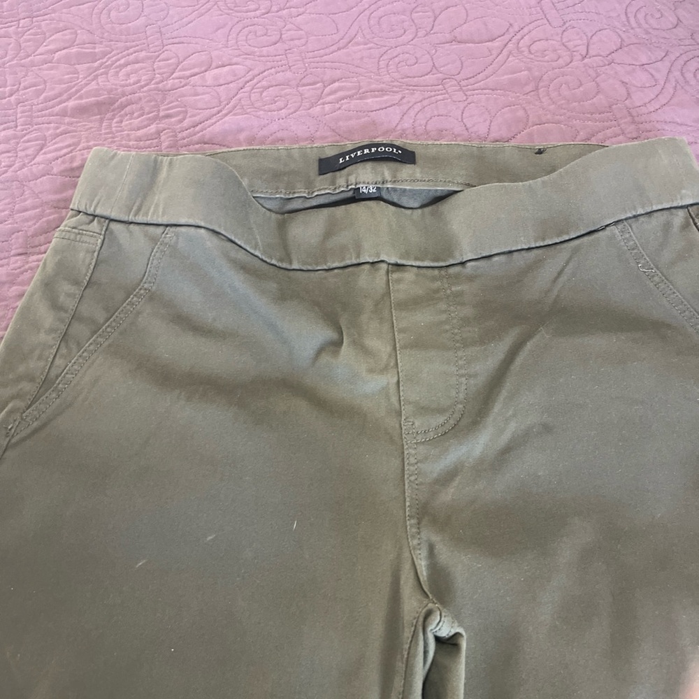 Liverpool Women’s Pull On Ankle Pants Size 14/32 Green Stretch Cotton